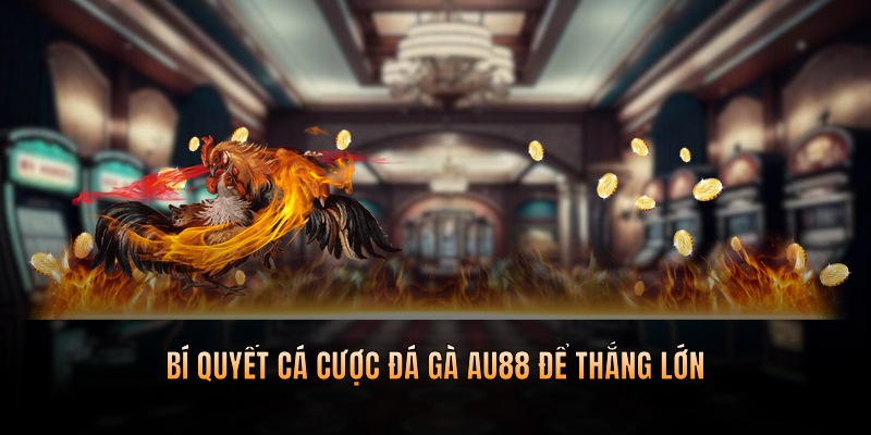 Bí quyết tham gia cá cược đá gà trăm trận trăm thắng