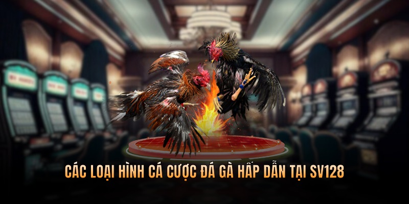 Các loại hình cá cược đá gà hấp dẫn tại SV128