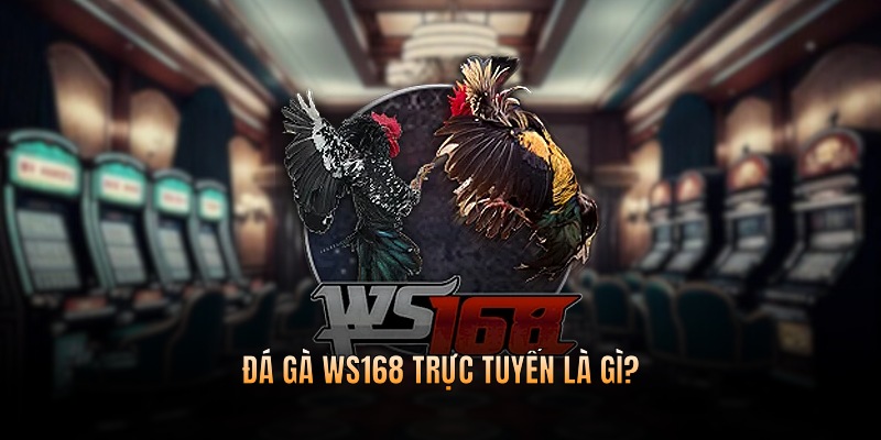 Đá gà WS168 trực tuyến là gì?