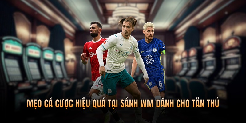 Mẹo cá cược hiệu quả tại sảnh game dành cho tân thủ