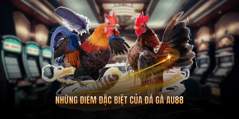Những điểm đặc biệt của đá gà