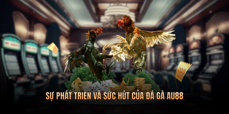 Sự phát triển và sức hút của đá gà AU88